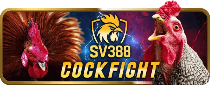 Hoàn trả hàng tuần slot game tại nn88 login